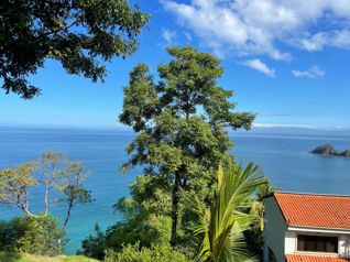 Venta - Punta Leona - Oportunidad de inversion en Jacó, Garabito, Puntarenas — $675,000 - Foto 3 de 8