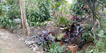 VENTA TERRENO DE DESARROLLO, SAN JOSE, DESAMPARADOS, SAN LORENZO en San Lorenzo, Tarrazú, San José — $1,600,000 - Foto 5 de 7