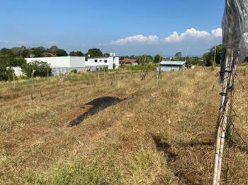 Lote de 25,898 m² en La Guácima – Ideal para Desarrollo Residencial o Comercial #26-389 GS in Guácima, Alajuela — $1,950,000 - Photo 4 of 6