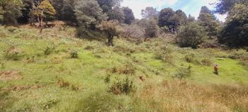 Venta de Lote en Macho Gaff, San Isidro, El Guarco en San Isidro, El Guarco, Cartago — 50 000 000 ₡ - Foto 5 de 18