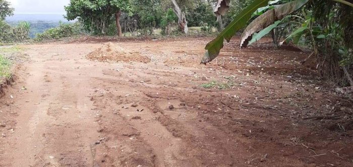 Venta de lote cerca Ebais Santa Eulalia, Atenas, 34 millones in Santa Eulalia, Atenas, Alajuela — ₡ 34 000 000