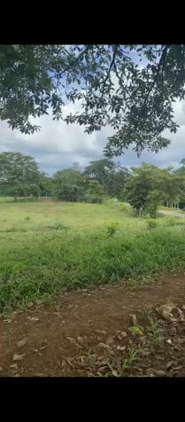 Titled 4-hectare lot in La Rita, Pococí – Iztarú for sale in Guápiles, Pococí, Limón — ₡ 40 000 000 - Photo 2 of 3