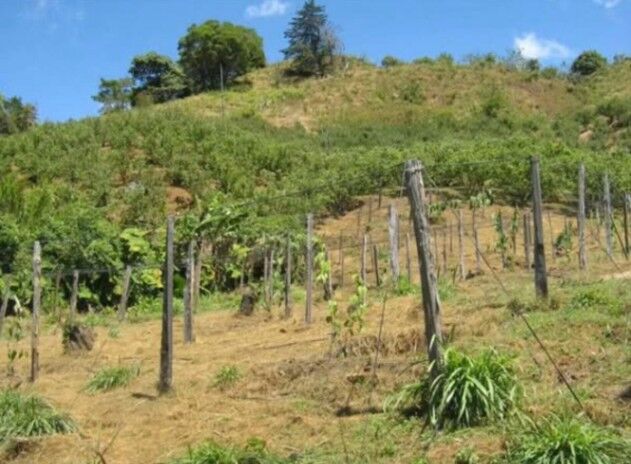 Se vende propiedad en Copey de Dota – Ideal para cultivo en San Isidro, El Guarco, Cartago — ₡ 240 000 000