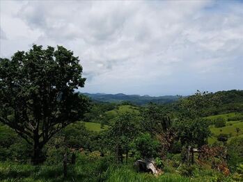 Farm For Sale Sámara, Nicoya, Guanacaste