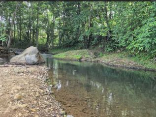 Lote en venta en San Ramon, cerca de la Fortuna, plano en Peñas Blancas, San Ramón, Alajuela — $20,000 - Foto 2 de 30