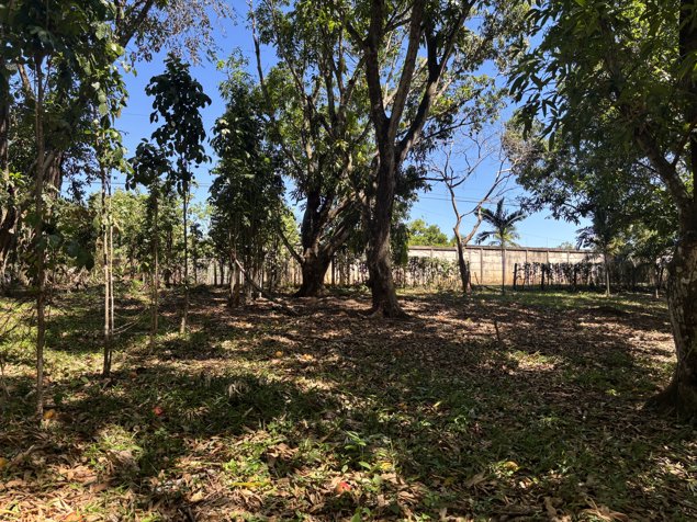 VENTA / Terreno en Coyolar, Orotina, Alajuela en Coyolar, Orotina, Alajuela — ₡ 45 000 000 - Foto 2 de 14