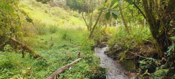 Venta de Lote en Macho Gaff, San Isidro, El Guarco