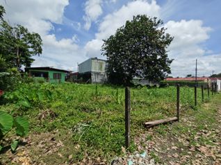 Se vende lote de 504 m2 ubicado en el centro de Guápiles. in Guápiles, Pococí, Limón — ₡ 38 000 000 - Photo 3 of 8