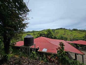 SE VENDE REFUGIO AUTOSOSTENIBLE CON NACIENTES DE AGUA Y VISTAS A LA MONTAÑA en San Isidro De El General, Pérez Zeledón, San José — $199,995 - Foto 5 de 18