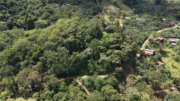 TERRENO LISTO PARA CONSTRUIR CON BOSQUE Y ARROYO CERCA DEL CHIRRIPO en Rivas, Pérez Zeledón, San José — $250,000 - Foto 3 de 8