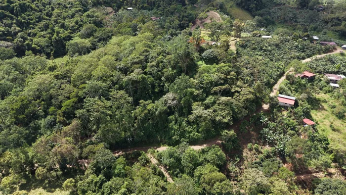TERRENO LISTO PARA CONSTRUIR CON BOSQUE Y ARROYO CERCA DEL CHIRRIPO en Rivas, Pérez Zeledón, San José — $250,000 - Foto 3 de 8