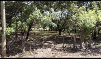 Quinta en venta Cartagena-Guanacaste en Cartagena, Santa Cruz, Guanacaste — 35 000 000 ₡ - Foto 3 de 3