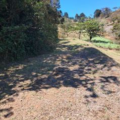 Se vende lote, gran oportunidad en Piedades Sur, San Ramòn en Piedades Sur, San Ramón, Alajuela — 32 000 000 ₡ - Foto 4 de 12