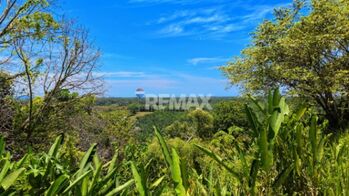 LOTE EN VENTA EN TAWAL, OSA – 5,029 m² CON USO MIXTO Y FRENTE A CARRETERA PRINCIPAL en Puerto Cortés, Osa, Puntarenas — $120,000 - Foto 4 de 23