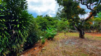 VENTA DE PROPIEDAD DE 1.974 M2 EN SAN PEDRO CENTRO, PEREZ ZELEDON: CASA SEGURA Y NACIENTE NATURAL in San Pedro, Pérez Zeledón, San José — $82,000 - Photo 5 of 32