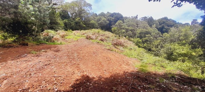 Venta de Lote en Macho Gaff, San Isidro, El Guarco en San Isidro, El Guarco, Cartago — ₡ 50 000 000 - Foto 2 de 18