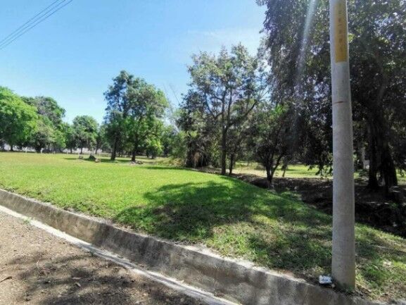 QUINTA A LA VENTA EN SAN MATEO ALAJUELA en San Mateo, Alajuela — $175,000