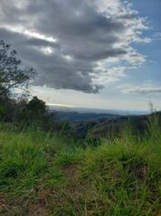 SE VENDE HERMOSO LOTE EN ESTANQUILLO - SAN MATEO en Desmonte, San Mateo, Alajuela — 62 000 000 ₡ - Foto 5 de 10