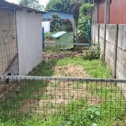 Se vende lote con casa en San Isidro de Peñas Blancas en Peñas Blancas, San Ramón, Alajuela — ₡ 18 000 000