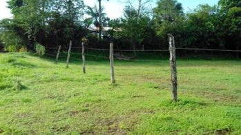 MLS-26-885 LS VENTA LOTE HORQUETAS SARAPIQUI in Las Horquetas, Sarapiquí, Heredia — $50,000 - Photo 4 of 4