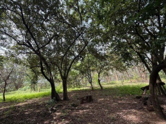 Venta de Lote en Curubandé. RAH 26-1012 en Curubandé, Liberia, Guanacaste — $593,000
