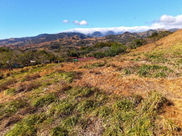🌄 Lote en venta con vista espectacular – Tajo Alto, Miramar 🌄 in Miramar, Montes De Oro, Puntarenas — ₡ 20 000 000