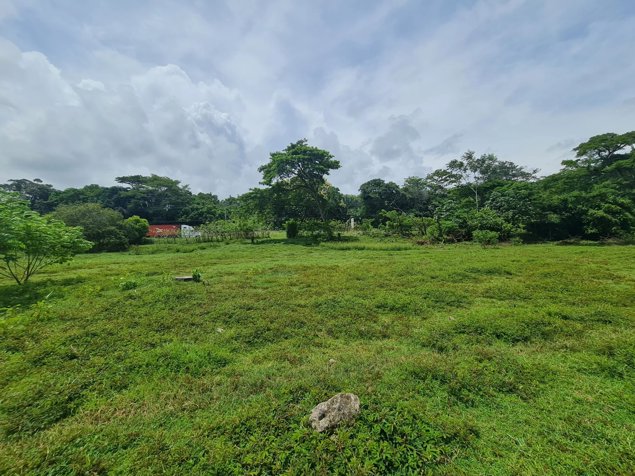 VENTA FINCA BEJUCO in Parrita, Puntarenas — $177,000 - Photo 3 of 5