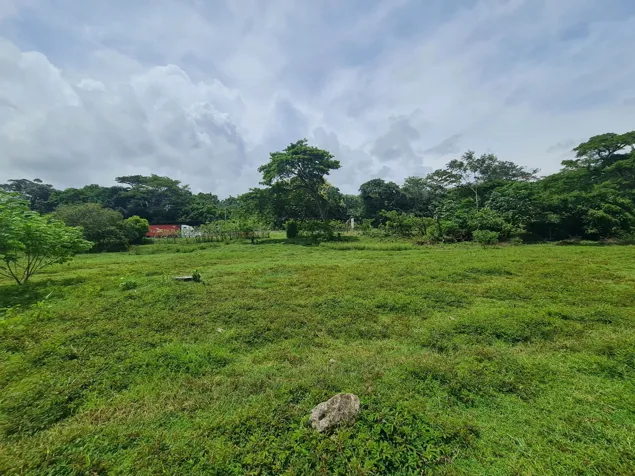 VENTA FINCA BEJUCO en Parrita, Puntarenas — $177,000 - Foto 3 de 5
