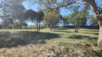 Se vende lote de 7200m2 en concepción de San Rafael 25-1563 in Ángeles, San Rafael, Heredia — 117 274 000 ₡ - Photo 4 of 17