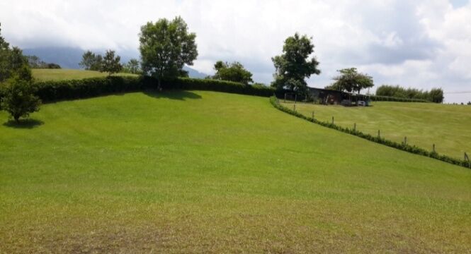 SE VENDE ESPECTACULAR FINCA EN MORAVIA, SAN JOSÉ.  en San Jerónimo, Moravia, San José — $37