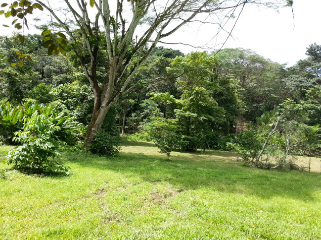 SE VENDE TERRENO EN QUEBRADA GANADO, PUNTARENAS en Jacó, Garabito, Puntarenas — $140,000 - Foto 2 de 16