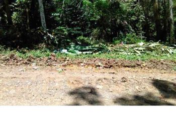 VENTA DE LOTE, LIMÓN, PUERTO VIEJO, COCLES in Cahuita, Talamanca, Limón — $75,000 - Photo 3 of 5