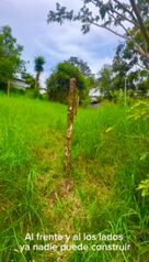 PRECIOSO LOTE EN VENTA EN SANTIAGO, SAN RAMON, ALAJUELA in Santiago, San Ramón, Alajuela — 18 000 000 ₡ - Photo 4 of 7