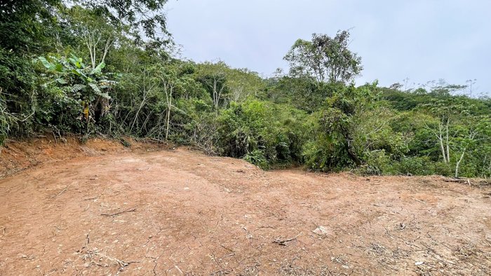 SE VENDE FINCA EN SAN RAFAEL, SAN RAMON in San Ramón, Alajuela — $207,000 - Photo 3 of 23