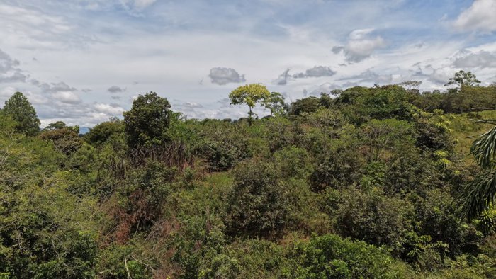 SE VENDE TERRENO LISTO PARA CONSTRUIR CON RIOS Y FINANCIAMIENTO EN SAN FRANCISCO DE CAJON en Cajón, Pérez Zeledón, San José — ₡ 60 000 000 - Foto 2 de 10