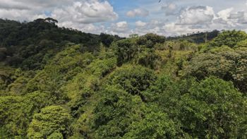 VENTA DE FINCA DE 8.1 HA CON DOS CASAS Y FRENTE DE RIO EN LAS MESAS, PEREZ ZELEDON en Cajón, Pérez Zeledón, San José — $249,999 - Foto 4 de 17