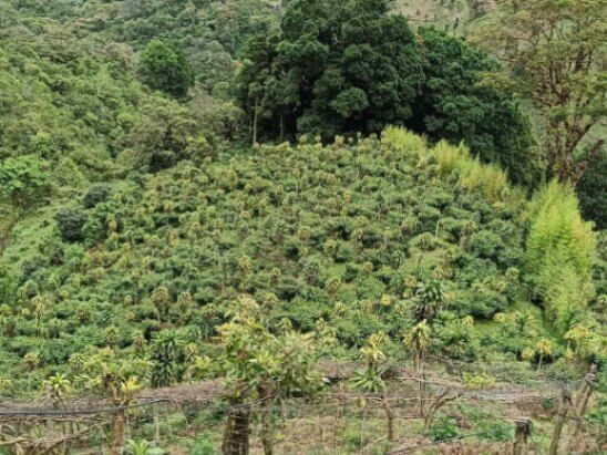 Venta de Finca en El Guarco de Cartago. RAH 26-1161 in San Isidro, El Guarco, Cartago — ₡ 140 000 000