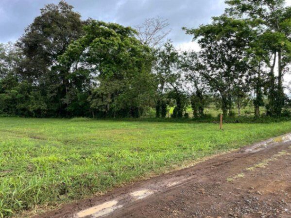 MLS-24-1495 LS VENTA LOTE LA FORTUNA SAN CARLOS  en La Fortuna, San Carlos, Alajuela — ₡ 23 000 000