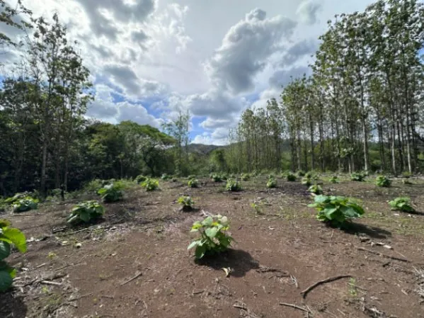Venta de Lote en Nicoya, Guanacaste. RAH 25-1990 in Nicoya, Guanacaste — $60,000 - Photo 2 of 5