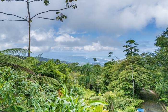 SE VENDE OPORTUNIDAD DE DESARROLLO CON VISTAS PANORAMICAS AL MAR EN OSA en Puerto Cortés, Osa, Puntarenas — $1,190,000