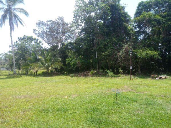 Casa con lote de 5000m2 in Peñas Blancas, San Ramón, Alajuela — ₡ 83 000 000