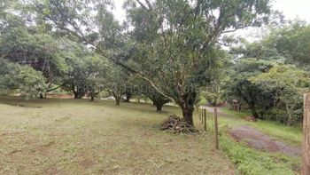 Venta de Lote en Turrubares. RAH 27-866 OPORTUNIDAD ÚNICA en San Juan De Mata, Turrubares, San José — 65 000 000 ₡ - Foto 4 de 10