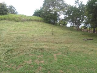 LOTE  PLAYA VISTA GOLFO NICOYA en Colorado, Abangares, Guanacaste — $145,000 - Foto 2 de 6