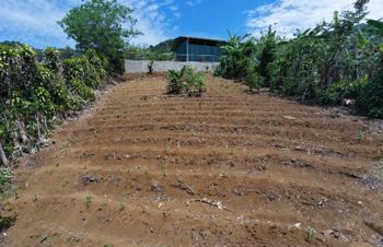 Lote en Venta en Zaragoza de Palmares in Zaragoza, Palmares, Alajuela — 28 750 000 ₡ - Photo 3 of 7