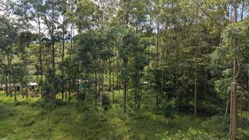 SE VENDE TERRENO LISTO PARA CONSTRUIR CON ARROYO NATURAL Y VISTAS A LAS MONTAÑAS en Rivas, Pérez Zeledón, San José — $350,000 - Foto 2 de 12