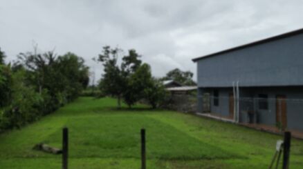 ¡CONSTRUYA SIN COMPLICACIONES EN REPUNTA! 🌳🏠 en Daniel Flores, Pérez Zeledón, San José — ₡ 42 000 000