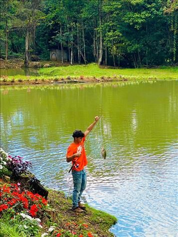 LAND FOR SALE THE TILAPIA PONDS HOUSES 14 HECT in Cajón, Pérez Zeledón, San José — $850,000