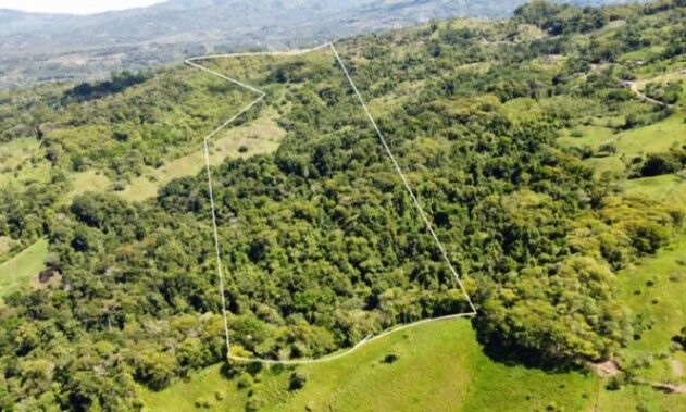 BEAUTIFUL LAND FOR SALE IN GENERAL VIEJO (25 HECTARES) in El General, Pérez Zeledón, San José — $450,000