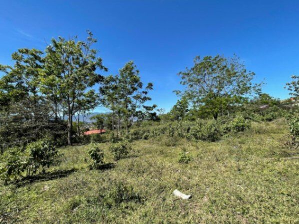 Se vende lote de 2.4 hectáreas en San Ramon de Cartago 22-1541 en San Ramón, La Unión, Cartago — $2,365,000