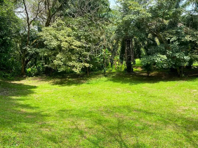 Venta Terreno Rodeado de Naturaleza en Esterillos, min de Playa (MV) en Parrita, Puntarenas — $120,000 - Foto 2 de 6